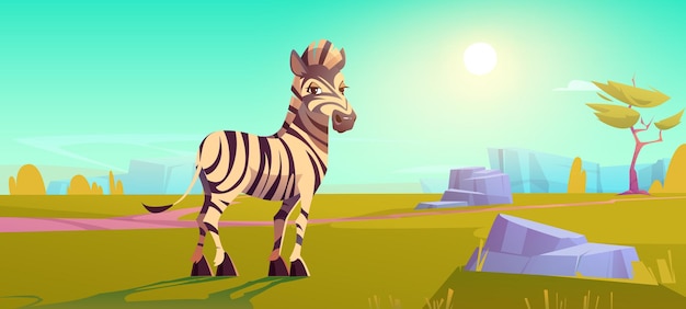 Savannah with cute zebra, acacia trees and green grass. vector cartoon illustration of african savanna landscape with funny horse with white and black stripes. safari park with wild animals