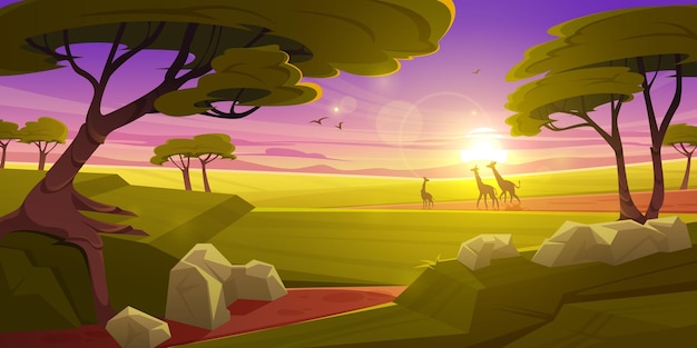 Бесплатное векторное изображение Саванна с силуэтами жирафов, деревья акации и зеленая трава на закате
