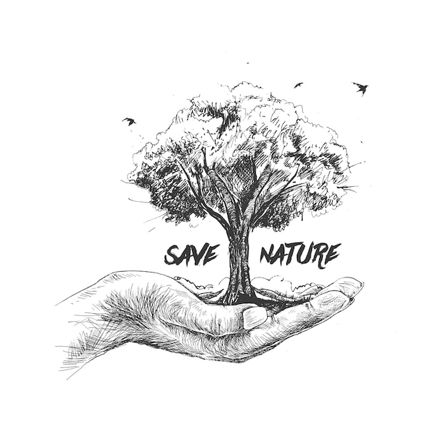 白い背景のエコロジーと地球の日の概念に対してツリーを保持している自然人間の手を保存します。