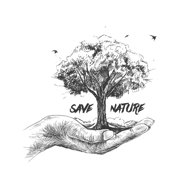 Save nature human hand holding tree against white background Ecology and Earth day concept