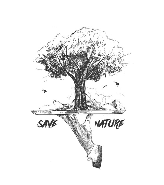 Save nature human hand holding tree against white background Ecology and Earth day concept