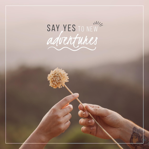 Say yes to new adventures quote