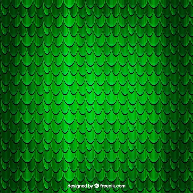 Scales of a reptile background