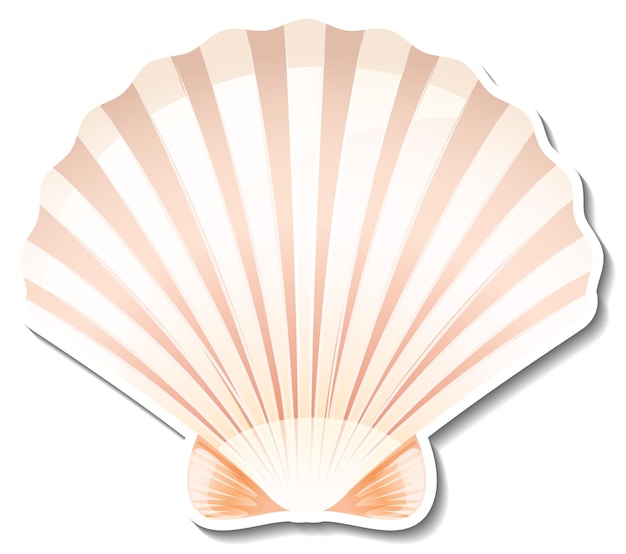 Scallop sticker on white