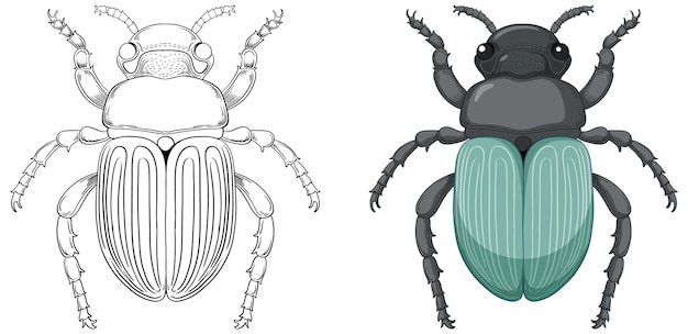 Free vector scarab beetle outline for colouring
