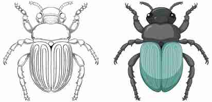 Free vector scarab beetle outline for colouring