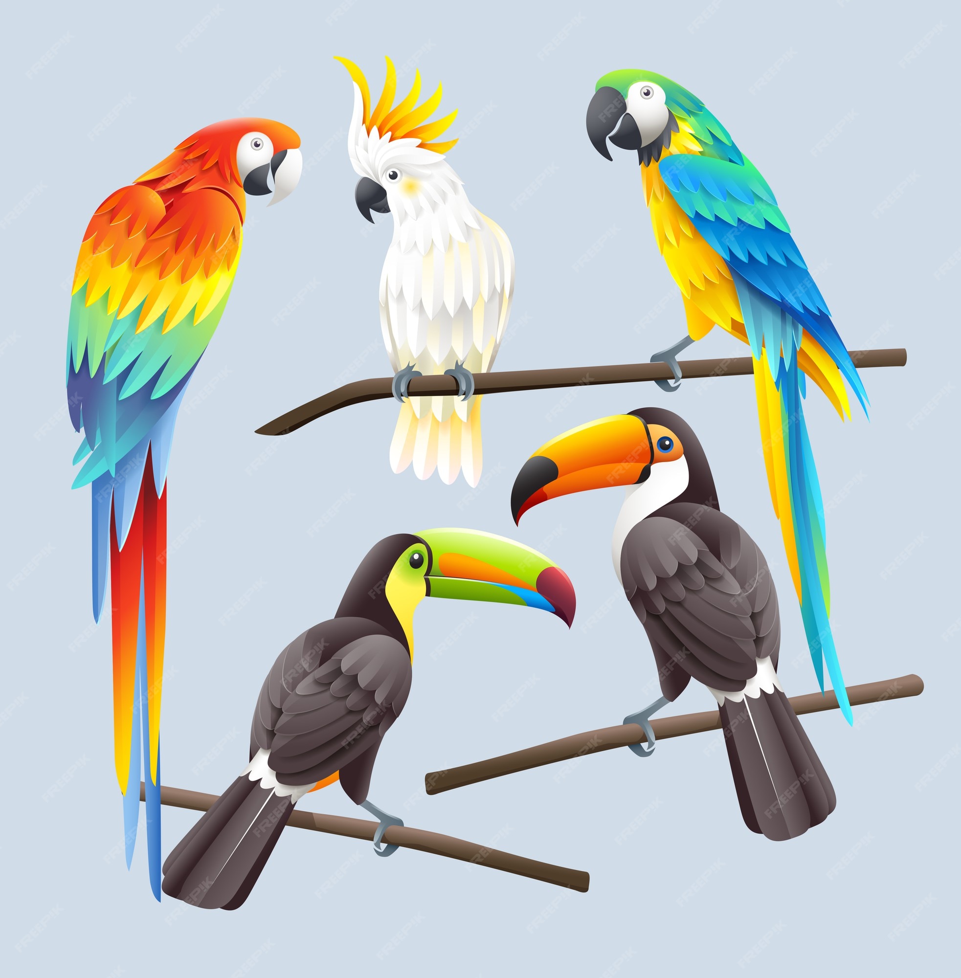 緋色のコンゴウインコ 青いコンゴウインコ 白いオウムと2つのトコオオハシのイラスト プレミアムベクター 緋色のコンゴウインコ 青いコンゴウインコ 白いオウムと2つのトコオオハシのイラスト プレミアムベクター