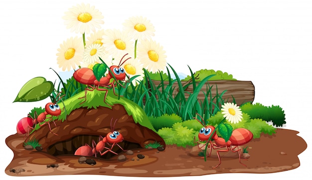 Free vector scene with ants and flowers in the garden