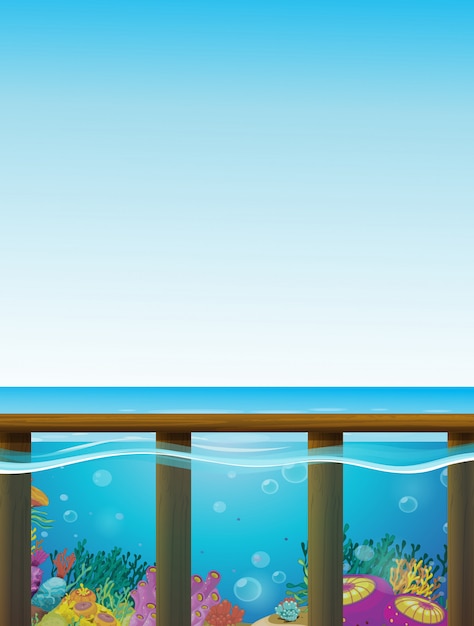 Scene with blue sea and underwater background