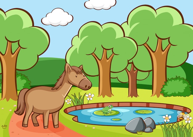 Scene with brown horse by the pond