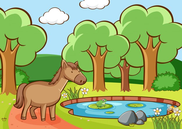 Scene with brown horse by the pond