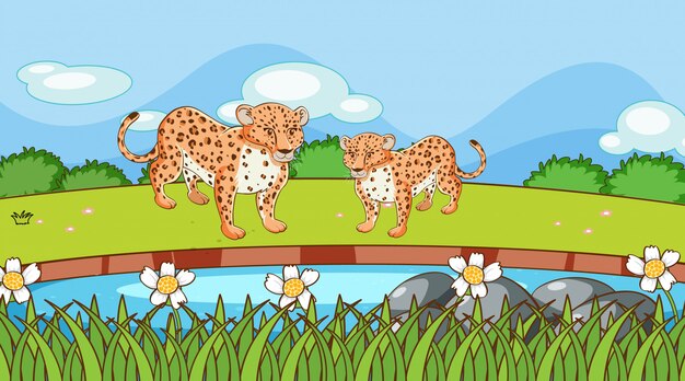 Free vector scene with cheetah in the field