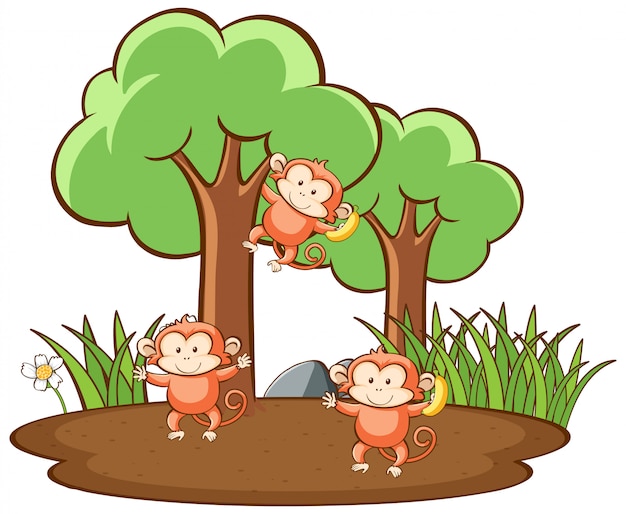 Free vector scene with cute monkeys in forest