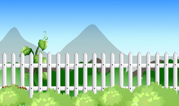 Scene with fence and garden