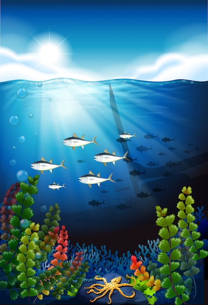 Free vector scene with fish swimming underwater