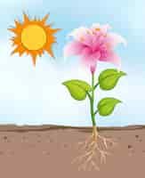 Free vector scene with flowers growing in the bright sunny day