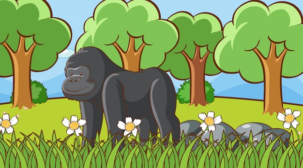 Scene with gorilla in the forest