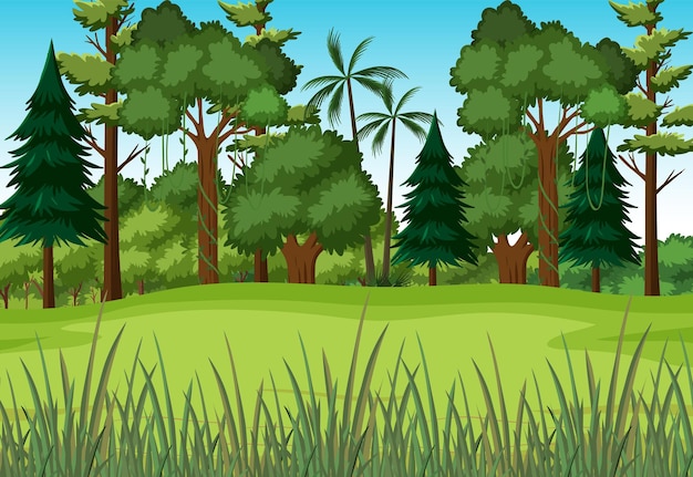 Сцена с зеленой травой в лесу