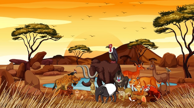 Scene with many animals in the field