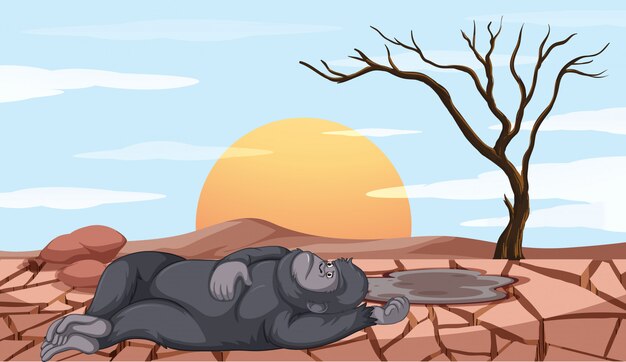 Scene with monkey dying in drought land