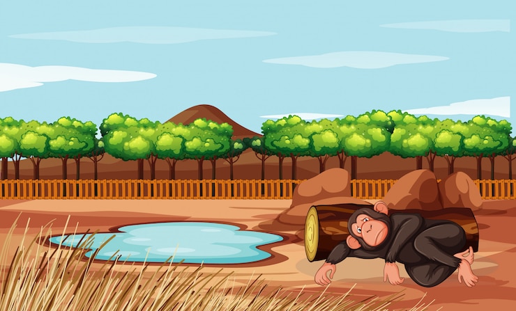मुफ़्त वेक्टर scene with monkey in the zoo