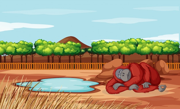 Free vector scene with monkey in the zoo