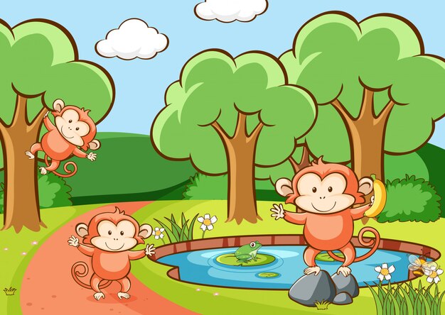 Scene with monkeys in forest