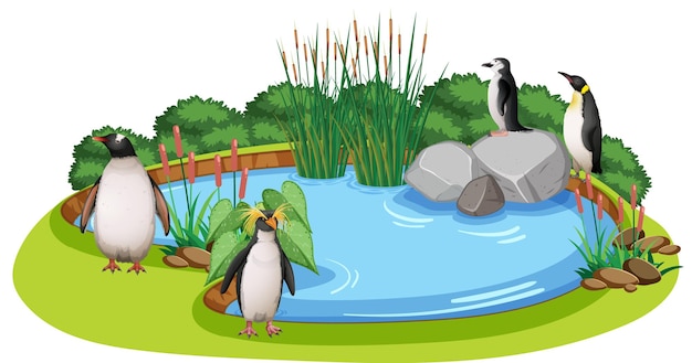 Scene with penguins around the pond