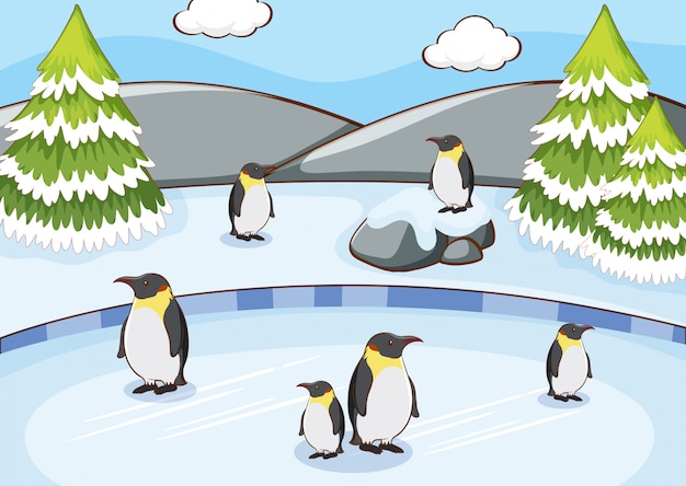 Scene with penguins in the snow