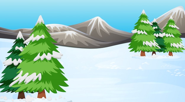 Free vector scene with pine trees in the snow