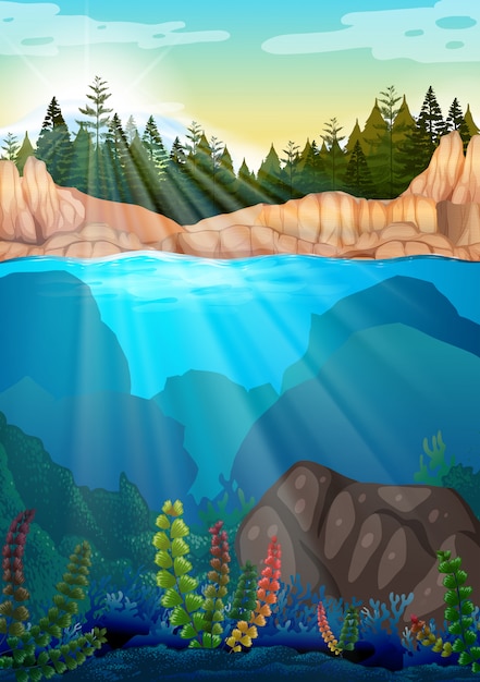 Scene with pine trees and underwater