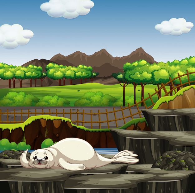 Free vector scene with seal in the zoo