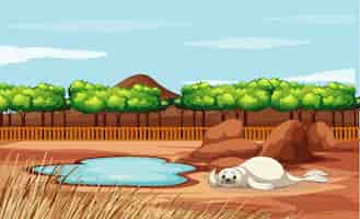 Free vector scene with seal in the zoo