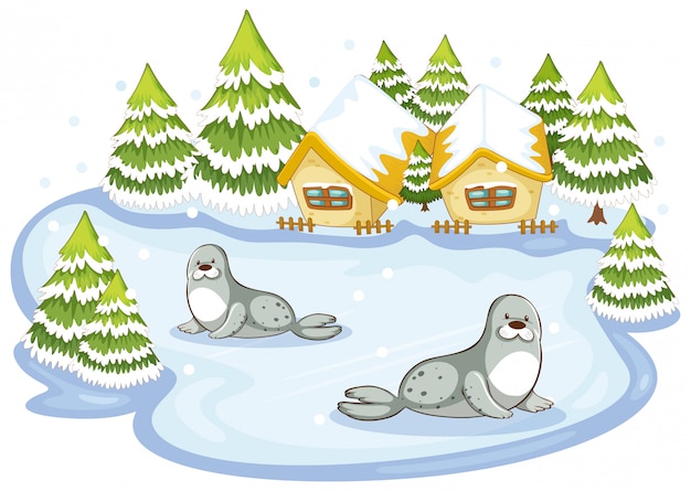 Scene with seals in winter illustration