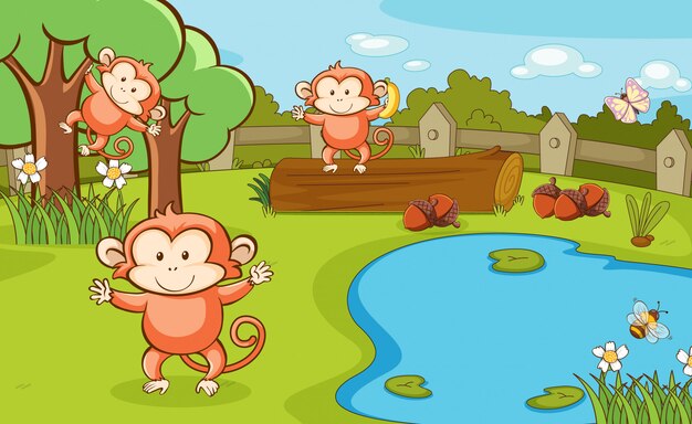Сцена с тремя обезьянами в парке