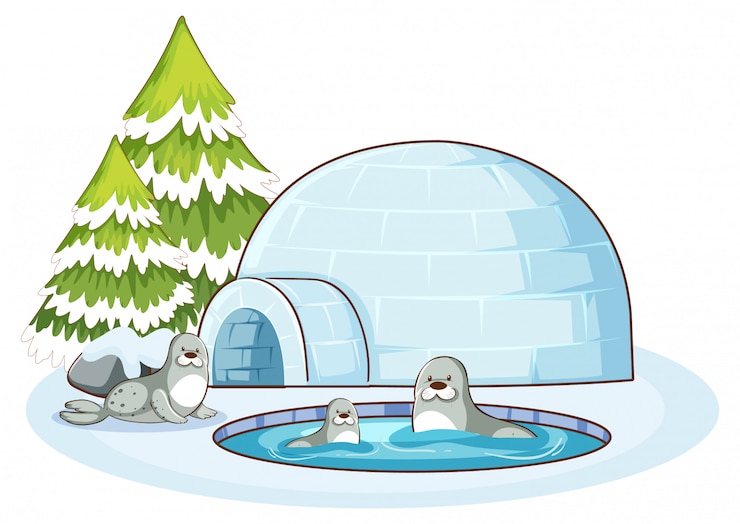Free Vector scene with three seals and igloo