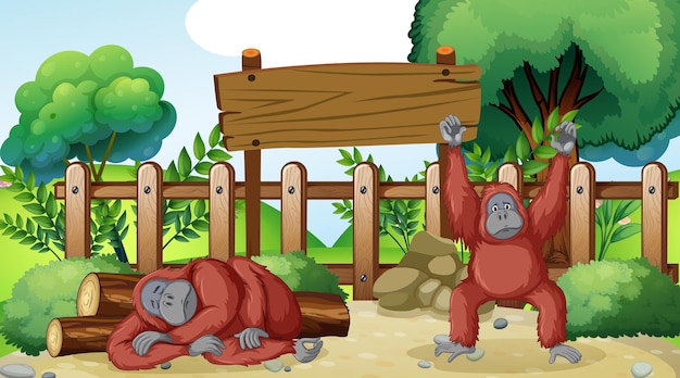 동물원에 두 마리의 침팬지가 있는 장면