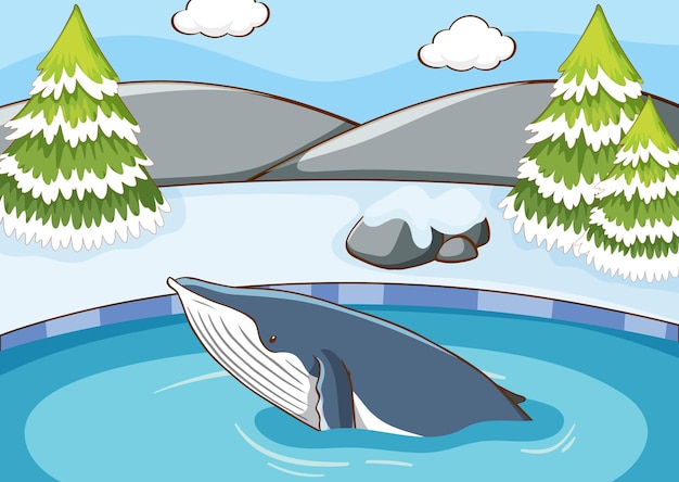 Scene with whale swimming