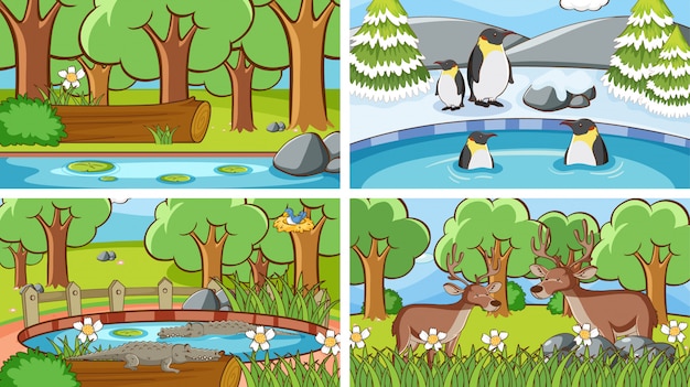 Scenes of animals in the wild illustration