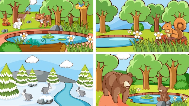 Scenes of animals in the wild