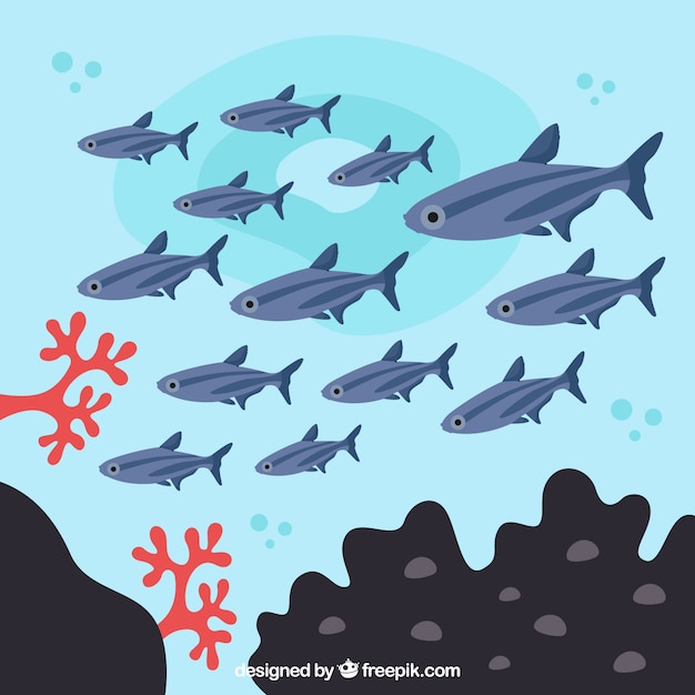 School of fishes background with deep sea in flat style