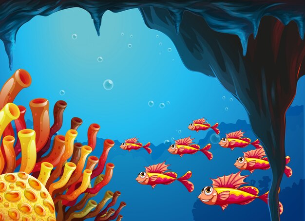 洞窟内のサンゴ礁に行く魚群
