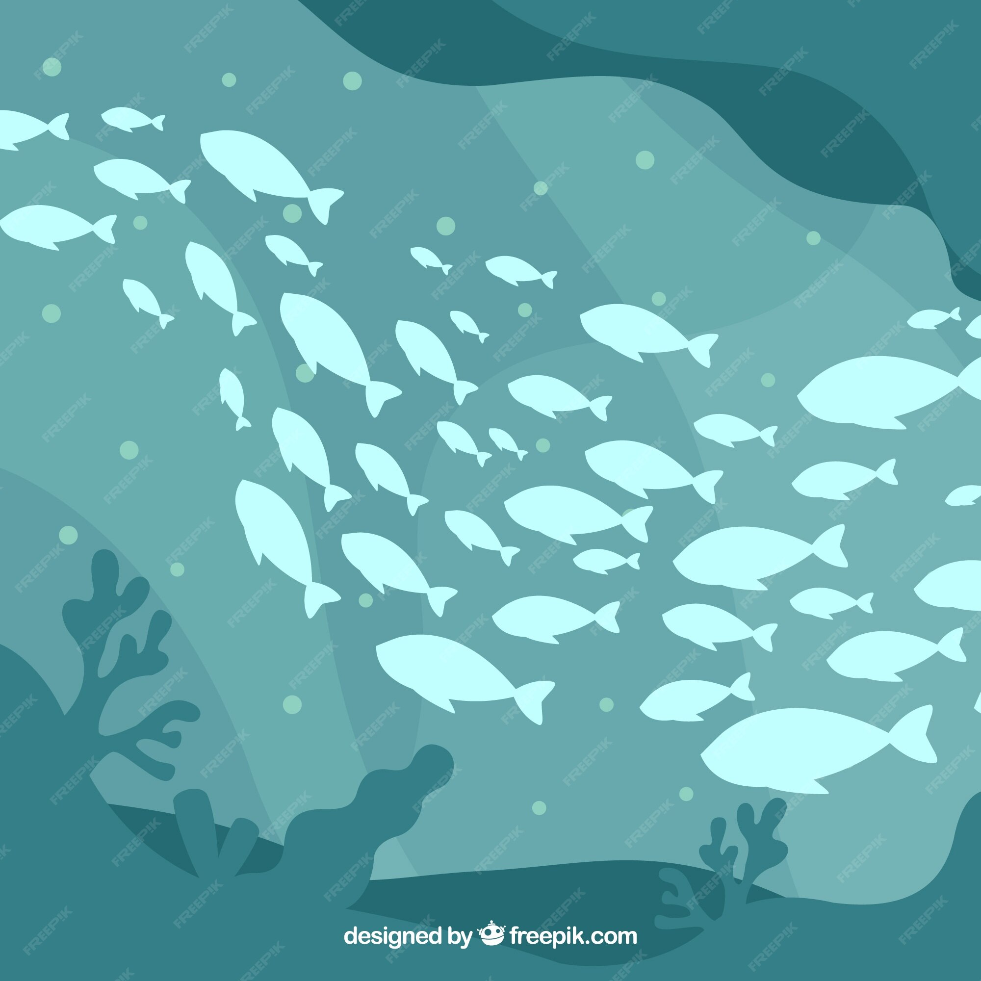 魚 画像 無料のベクター ストックフォト Psd 魚 画像 無料のベクター ストックフォト Psd
