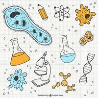 Бесплатное векторное изображение Наука и биологии каракули