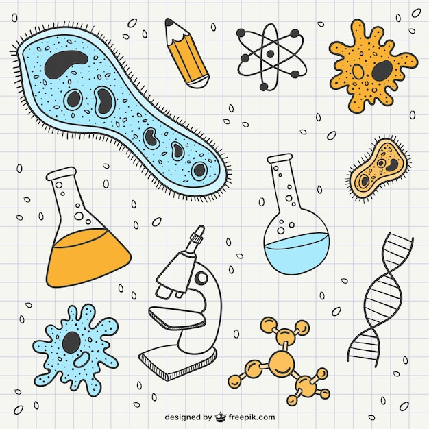 Free vector science and biology scribbles