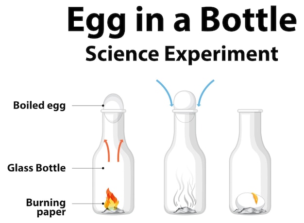 Free vector science experiment to do at home with egg in a bottle