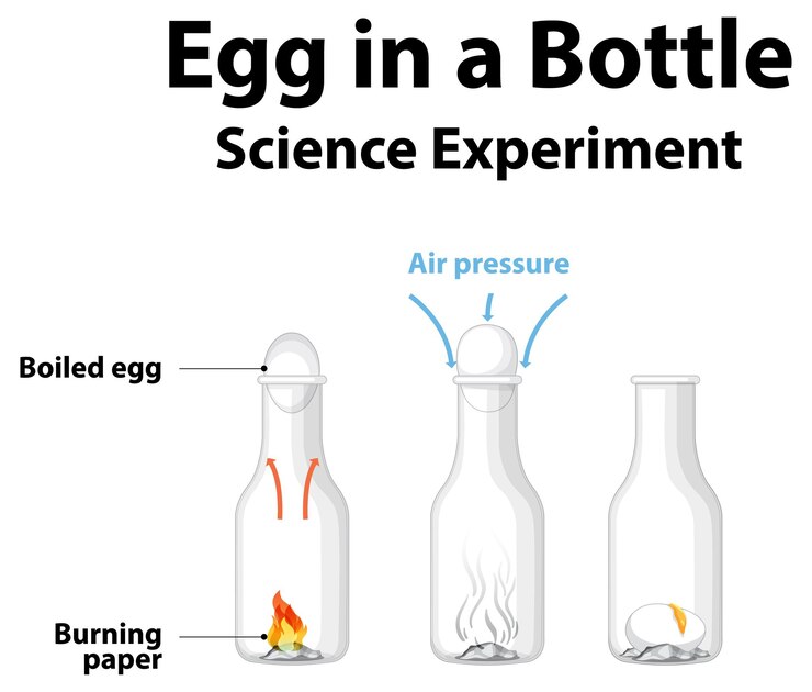 Free Vector science experiment to do at home with egg in a bottle