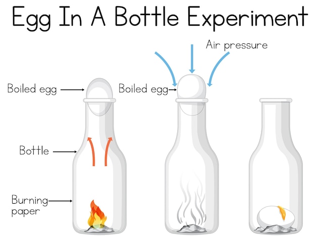 Бесплатное векторное изображение Научный эксперимент, который можно провести дома с яйцом в бутылке