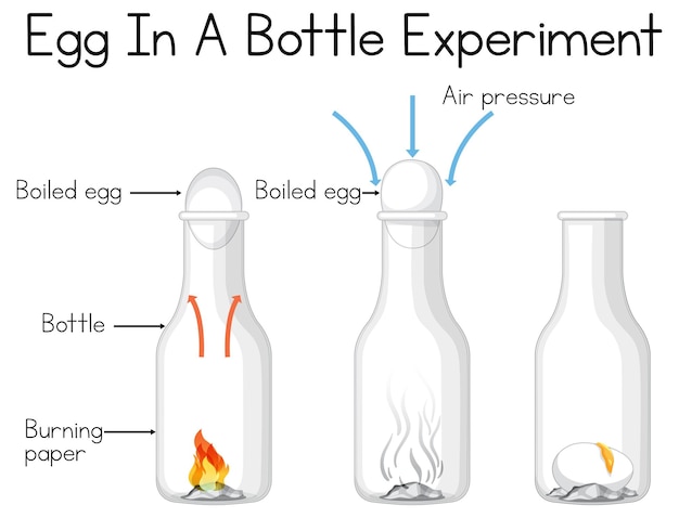 무료 벡터 병에 달걀을 넣고 집에서 할 수 있는 과학 실험
