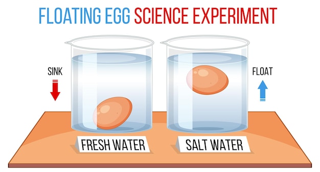 Бесплатное векторное изображение Научный эксперимент с тестовыми яйцами на свежесть